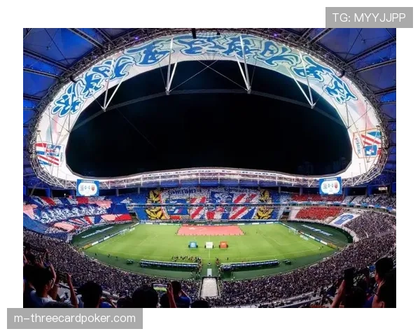 特写:看台上,一位小球迷举着“这是我第一次现场看球”的标语